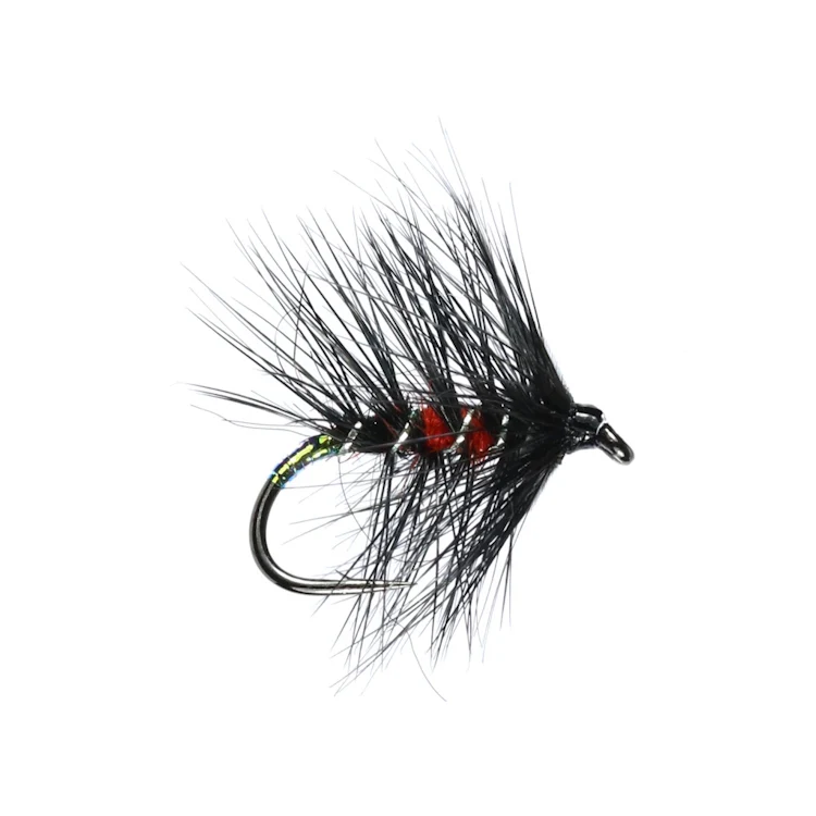 Bibio Hackled Wet Flies