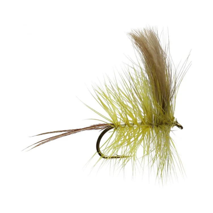 Corrib Mayfly