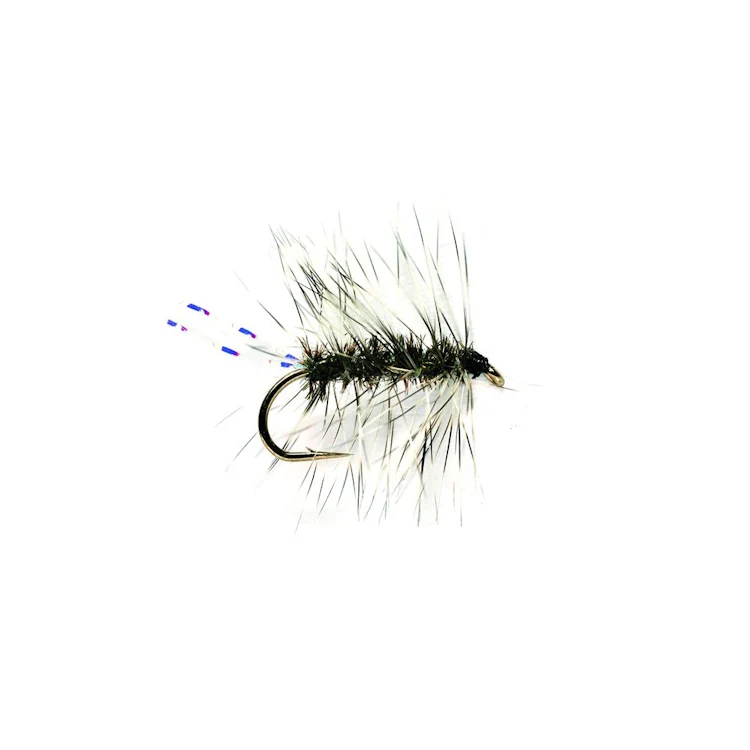 Griffith's Gnat Fly