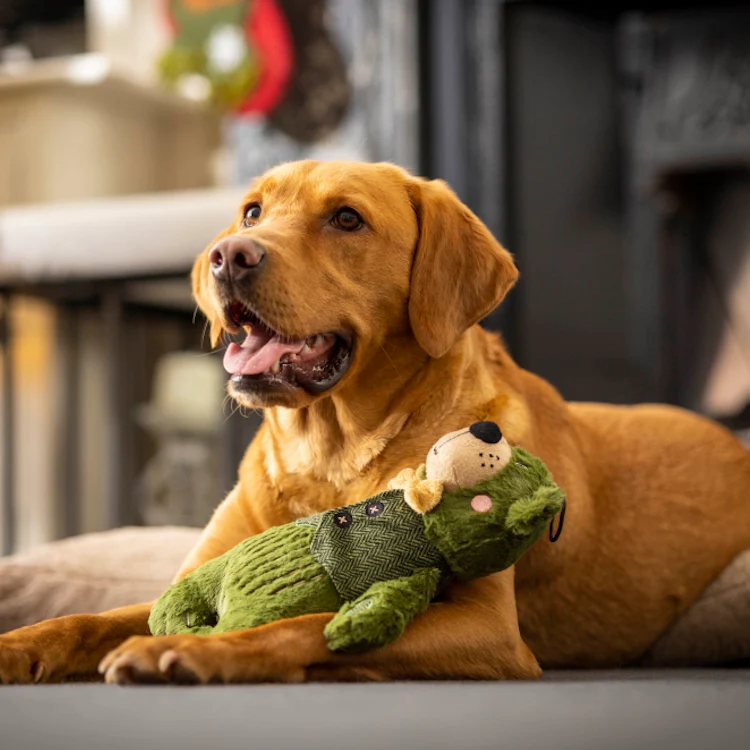 House of Paws Forest Green Bear Dog Toy - Image 2