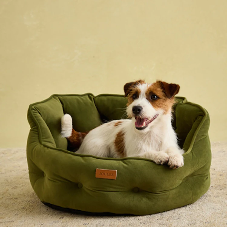 Joules Chesterfield Pet Bed - Khaki - Image 7