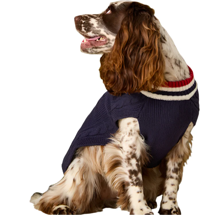 Joules Dawson Knit Dog Jumper - Navy - Image 6