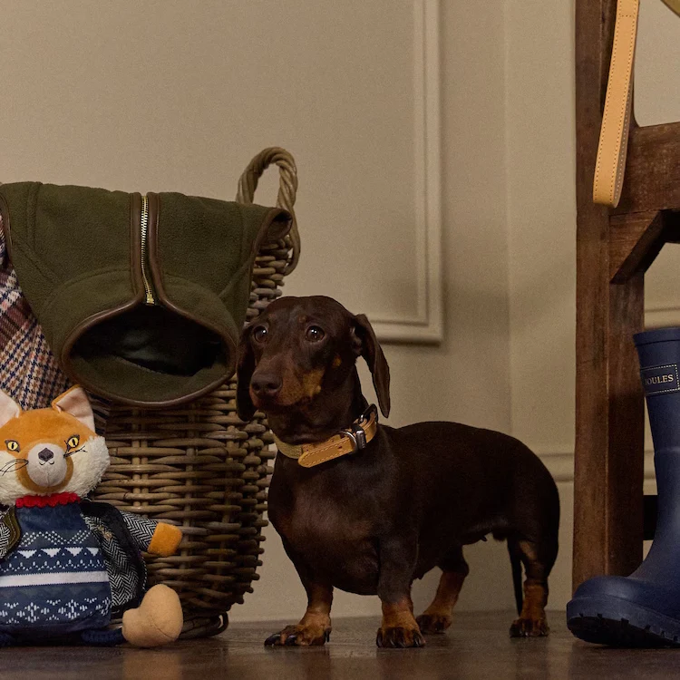 Joules Tan Dog Collar - Image 2