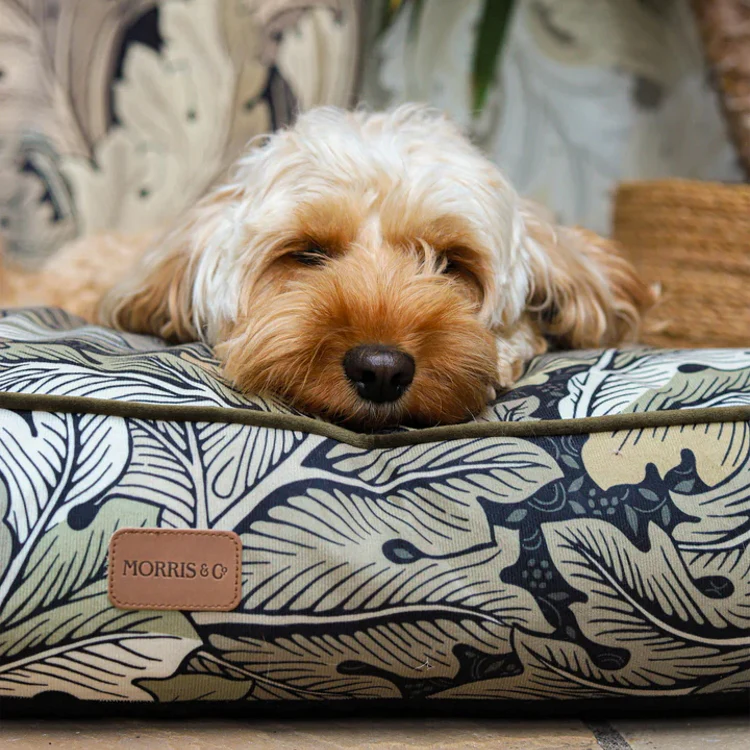Morris and Co Pet Mattress - Acanthus Print - Image 5