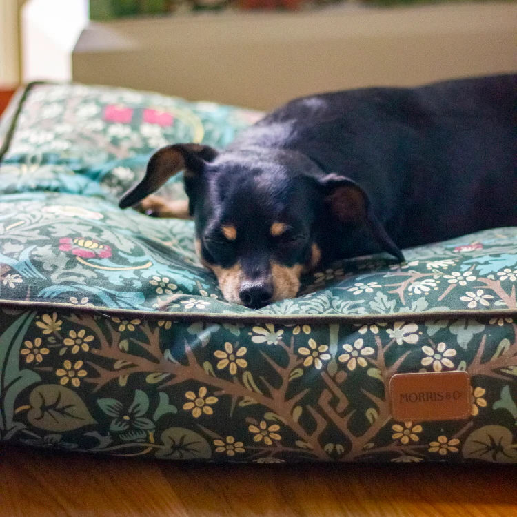 Morris and Co Pet Mattress - Blackthorn Print - Image 6