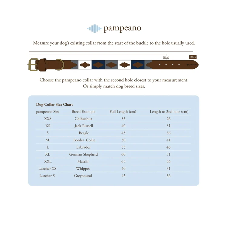 Pampeano Caza Leather Dog Collar - Image 5