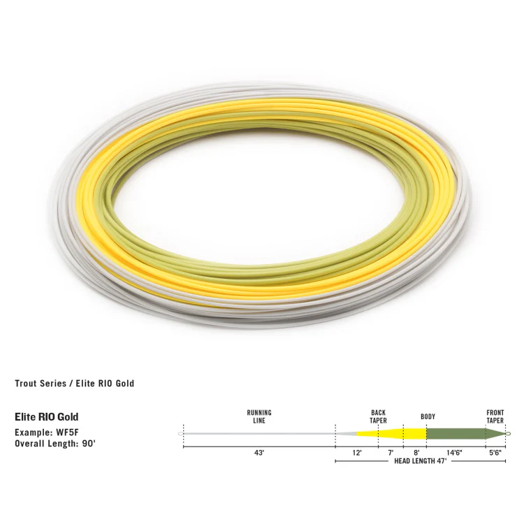 Rio Elite Gold Floating Fly Line - Moss/Gold/Gray - Image 2