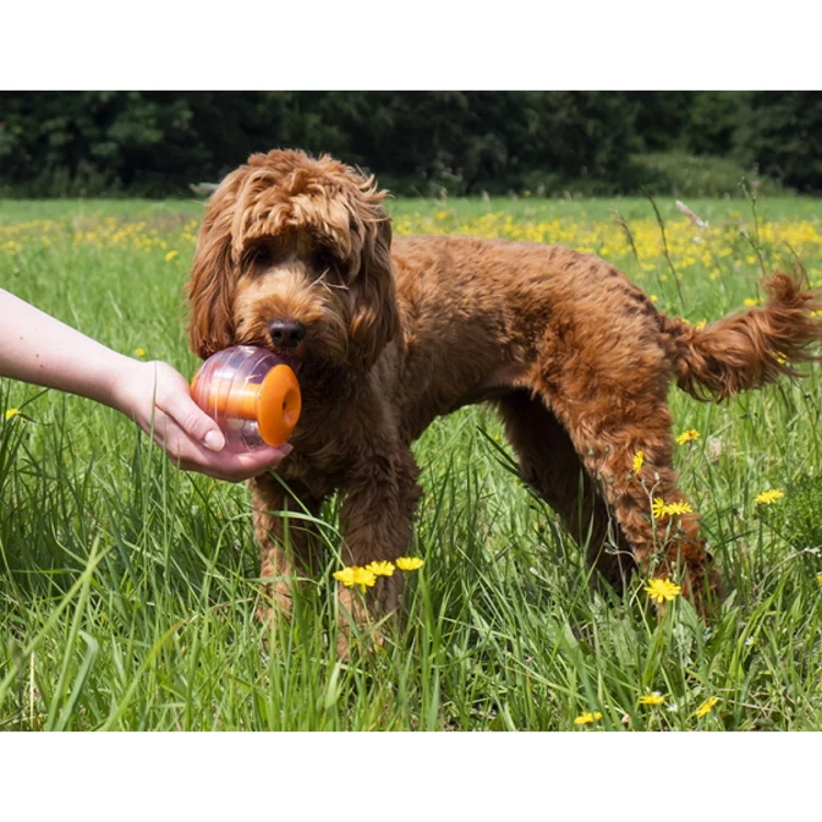 Rosewood Giggling Dog Treat Ball - Image 2