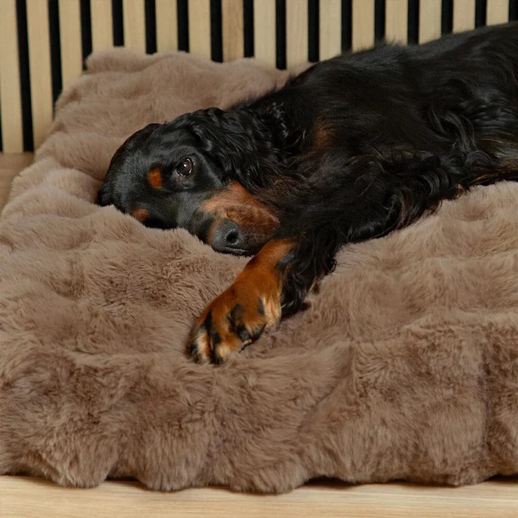 Scruffs Alpine Dog Mattress - Taupe - Image 4