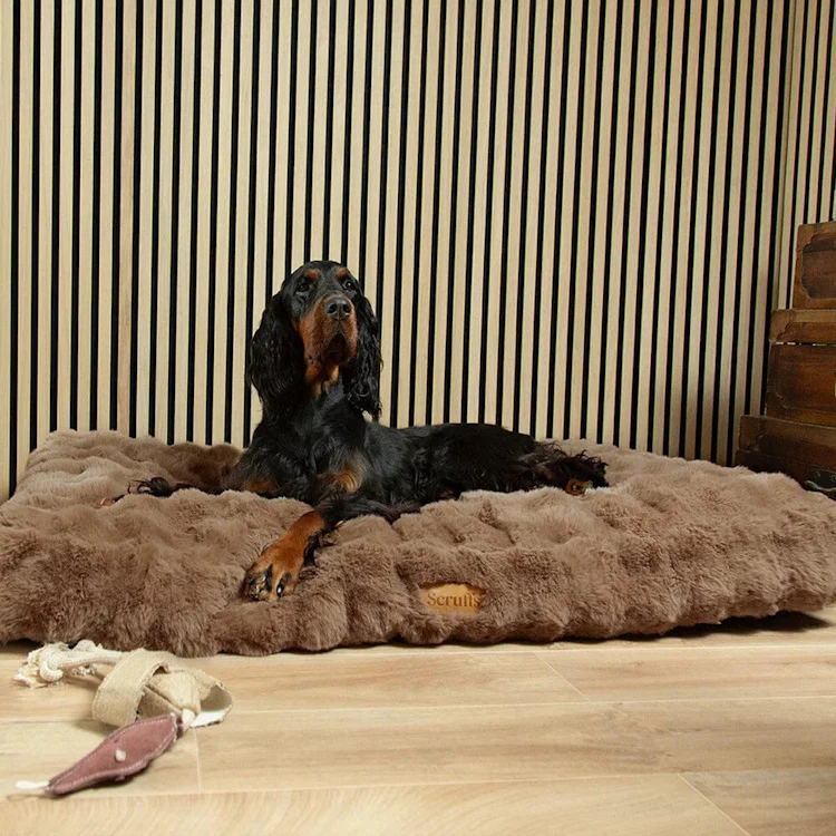 Scruffs Alpine Dog Mattress - Taupe - Image 5
