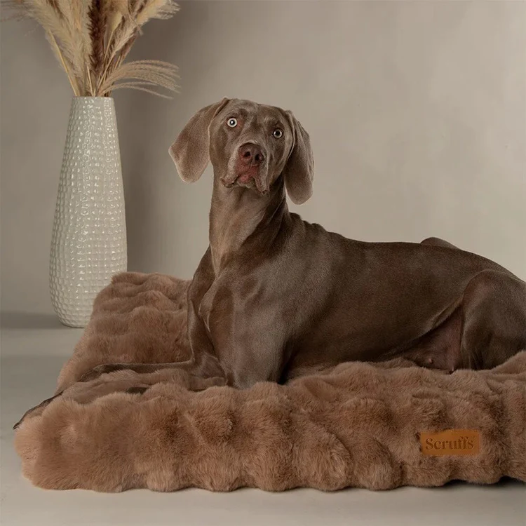 Scruffs Alpine Dog Mattress - Taupe - Image 6