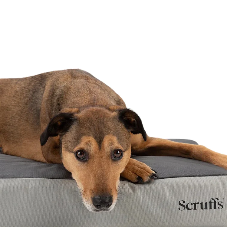 Scruffs ArmourDillo Orthopaedic Dog Bed - Grey - Image 2