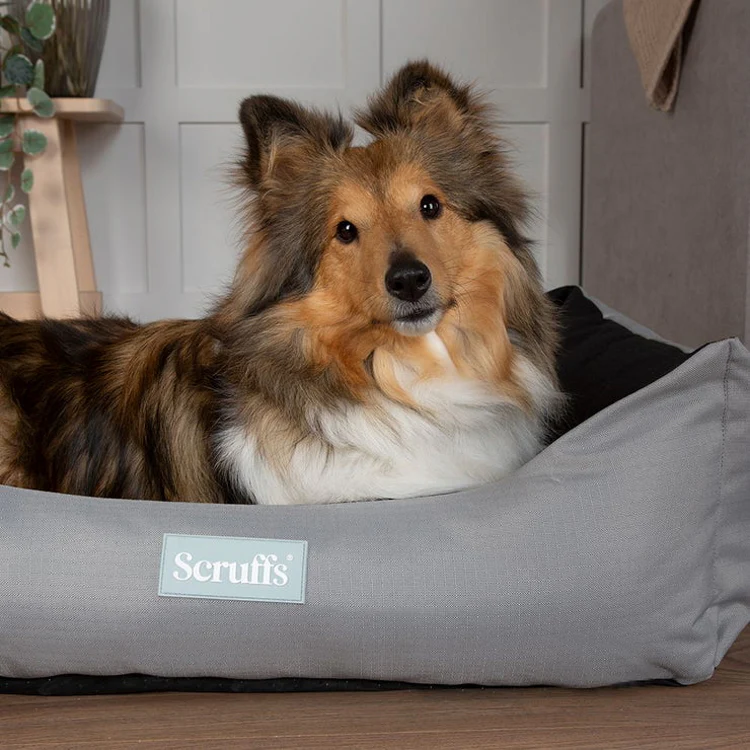 Scruffs Expedition Water Resistant Box Dog Bed - Storm Grey - Image 3