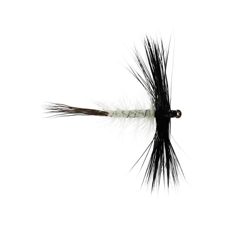 Spent Male Mayfly