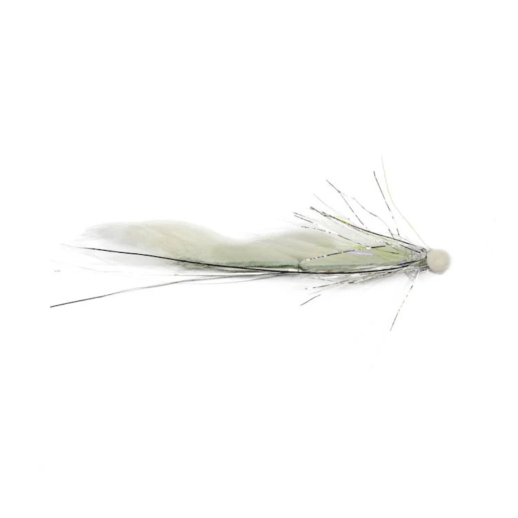 White Snake Booby Fly